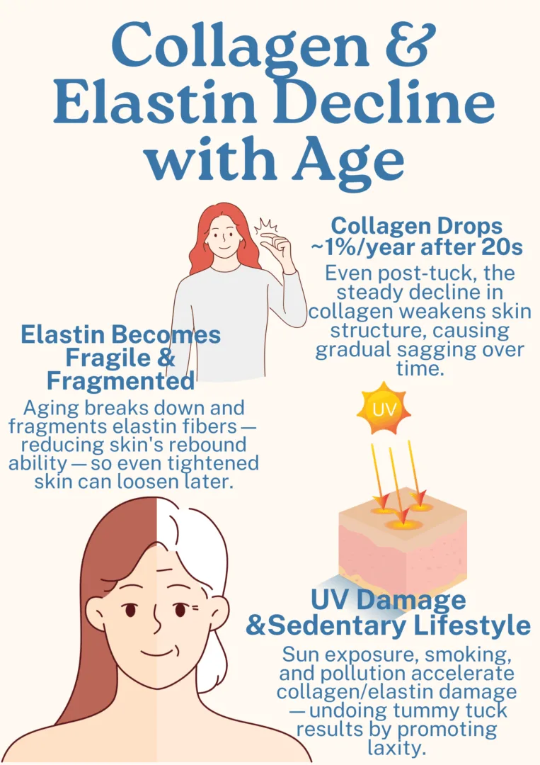 Infographic: Collagen & Elastin Decline with Age