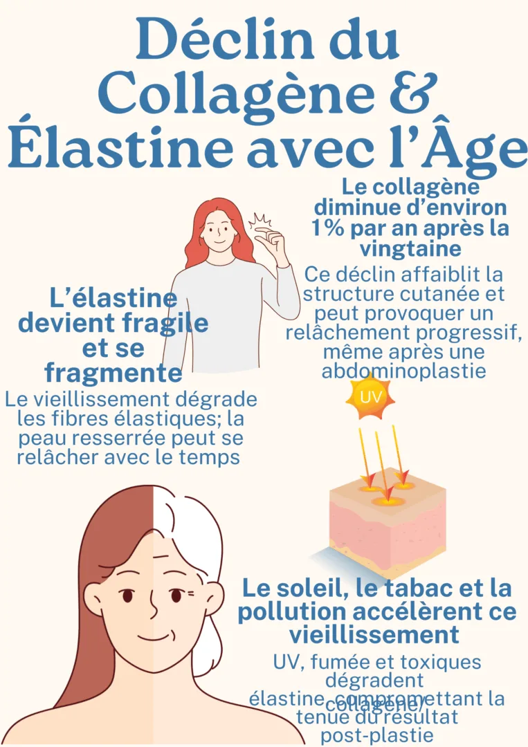 Déclin du Collagène & Élastine avec l’Âge