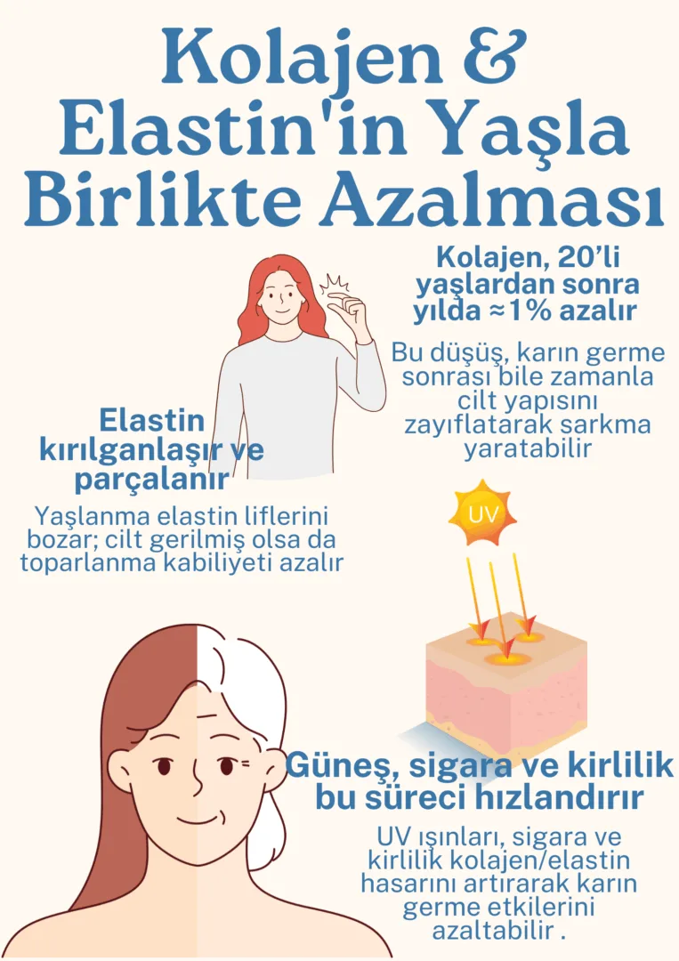 Kolajen & Elastin'in Yaşla Birlikte Azalması