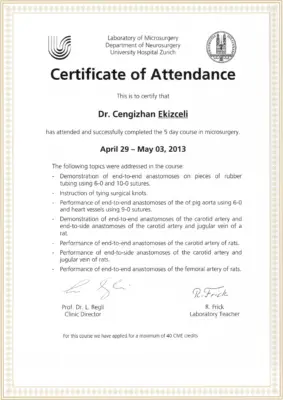 5 Day Course in Microsurgery - University Hospital in Zurich - April 29 to May 30, 2013