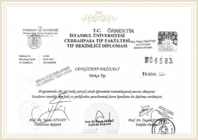 Medical Diploma - Istanbul University - July 29, 2011
